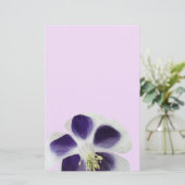 Papeterie florale, fleur pourpre et blanche (Debout devant)