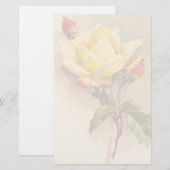 Papeterie florale vintage (Devant / Derrière)