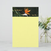 Papeterie Flower tropical orange paradise (Debout devant)