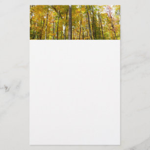 Papeterie Forêt de feuilles jaunes Paysage d'automne