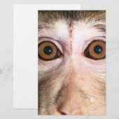 Papeterie Forêt pluviale en voie de disparition (Devant / Derrière)