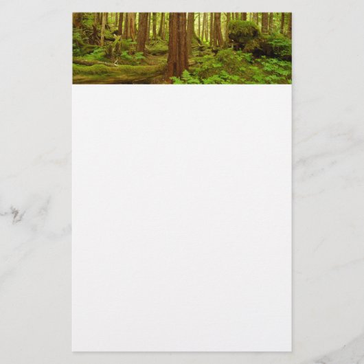 Papeterie Forêt pluviale tempérée d'Alaska (Devant)