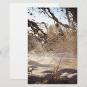 Papeterie Forêt primitive de pins (Devant / Derrière)