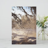 Papeterie Forêt primitive de pins (Debout devant)