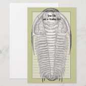 Papeterie fossile Trilobite vintage (Devant / Derrière)