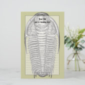Papeterie fossile Trilobite vintage (Debout devant)