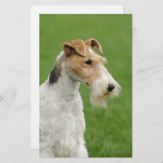 Papeterie Fox Terrier (Devant / Derrière)