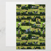 Papeterie Fox Terrier Photo Collage, (Devant / Derrière)