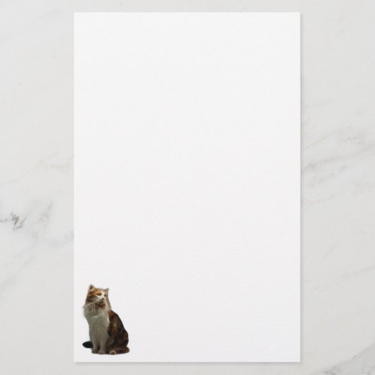 Papeterie Fractale de chat de calicot (Devant)