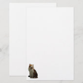 Papeterie Fractale de chat de calicot (Devant / Derrière)