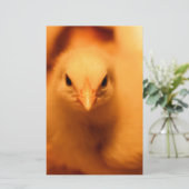 Papeterie Fuzzy (Debout devant)