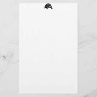 Papeterie Galápagos/tortue géante de Galapagos