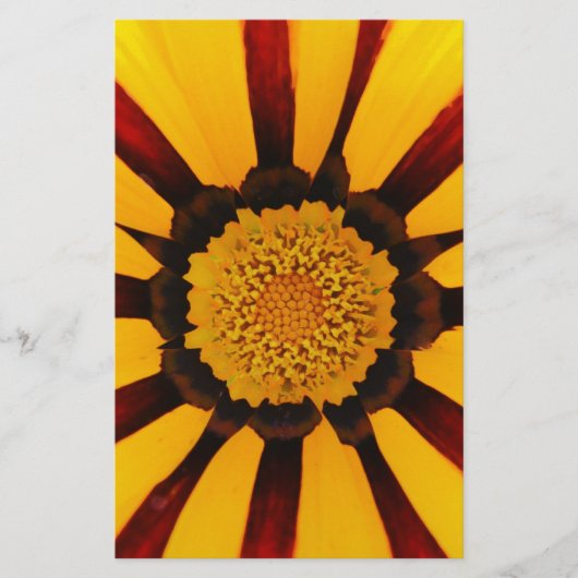 PAPETERIE GAZANIA (Devant)