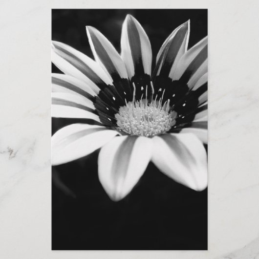 Papeterie Gazania (Devant)