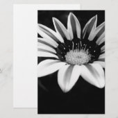 Papeterie Gazania (Devant / Derrière)