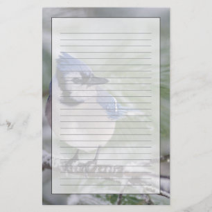Papeterie Geai bleu, Cyanocitta cristata