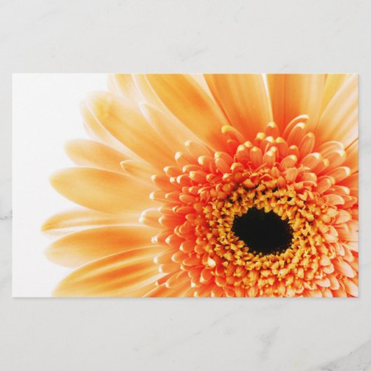 Papeterie Gerbera (Devant)