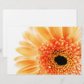Papeterie Gerbera (Devant / Derrière)