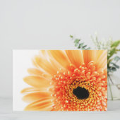 Papeterie Gerbera (Debout devant)
