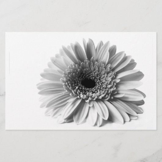 Papeterie Gerbera (Devant)