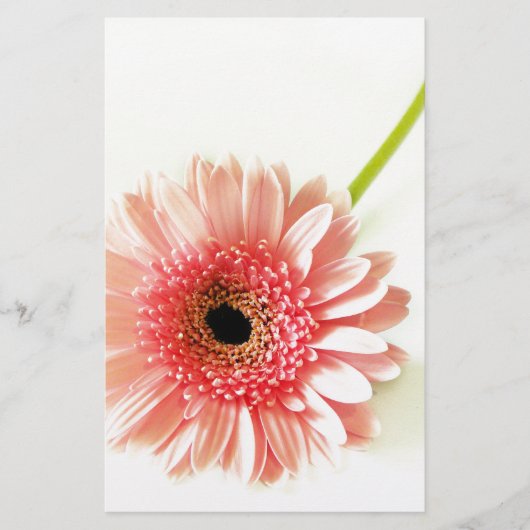 Papeterie Gerbera (Devant)