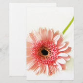 Papeterie Gerbera (Devant / Derrière)
