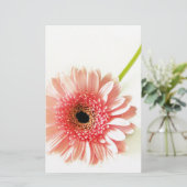Papeterie Gerbera (Debout devant)