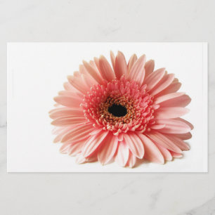 Papeterie Gerbera