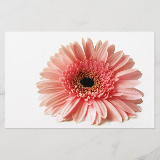 Papeterie Gerbera (Devant)