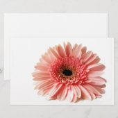 Papeterie Gerbera (Devant / Derrière)