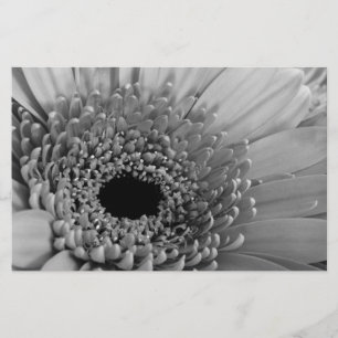 Papeterie Gerbera Daisy