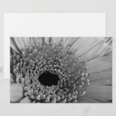 Papeterie Gerbera Daisy (Devant / Derrière)