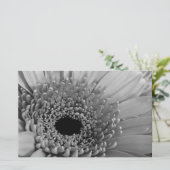 Papeterie Gerbera Daisy (Debout devant)