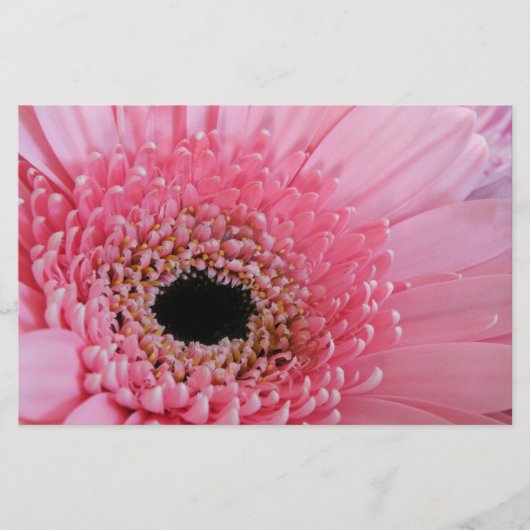 Papeterie Gerbera Daisy (Devant)