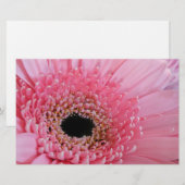 Papeterie Gerbera Daisy (Devant / Derrière)
