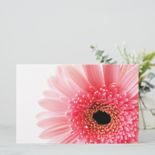 Papeterie Gerbera Daisy (Debout devant)