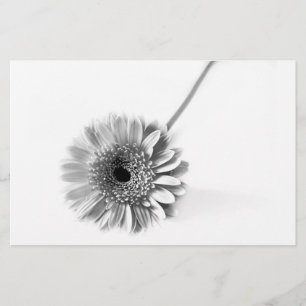 Papeterie Gerbera Daisy