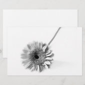 Papeterie Gerbera Daisy (Devant / Derrière)
