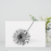 Papeterie Gerbera Daisy (Debout devant)