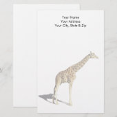 Papeterie Giraffe (Devant / Derrière)