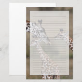 Papeterie Giraffe Masaï (Giraffe Tippelskirchi) (Devant / Derrière)