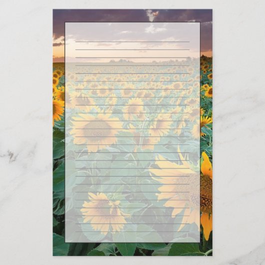 Papeterie Gisement de tournesol dans Longmont, le Colorado (Devant)