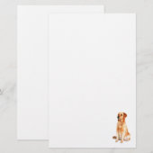 Papeterie Golden Retriever (Devant / Derrière)