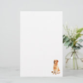 Papeterie Golden Retriever (Debout devant)