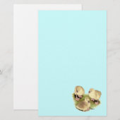 Papeterie Goslings : Buff African (Devant / Derrière)