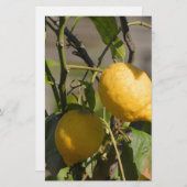 Papeterie Graphiques Citron Espagnol (Devant / Derrière)