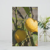 Papeterie Graphiques Citron Espagnol (Debout devant)