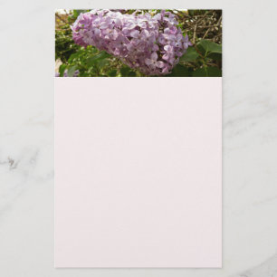 Papeterie Grappe de fleurs de Lilac Printemps Floral