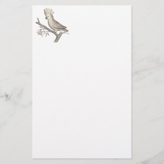 Papeterie Gravure antique d'un cacatoès Histoire Naturelle (Devant)