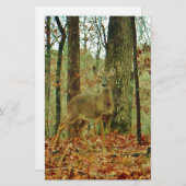 Papeterie Green Camo (Devant / Derrière)